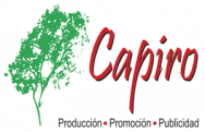 Capiro-Publicidad-logo-shine