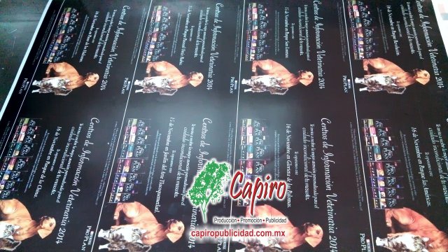 Impresión de tarjetas de presentación