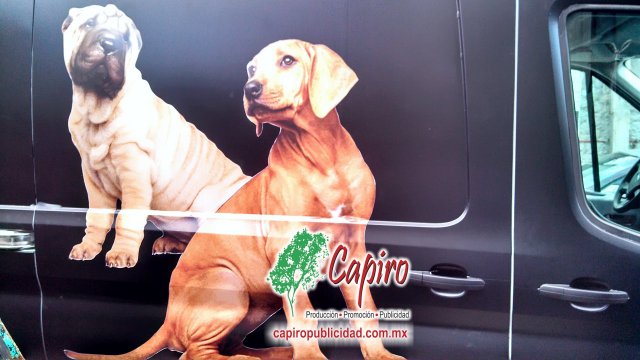 Rotulación de vehículos, implementación de imagen y concepto publicitario