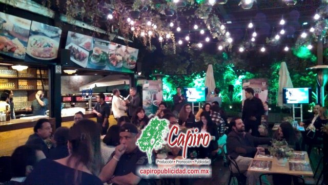 Desarrollo de producto y concepto publicitario