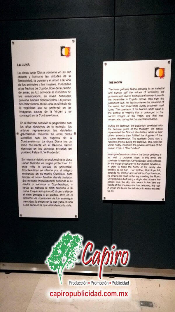 Recorte de vinil para materiales museográficos