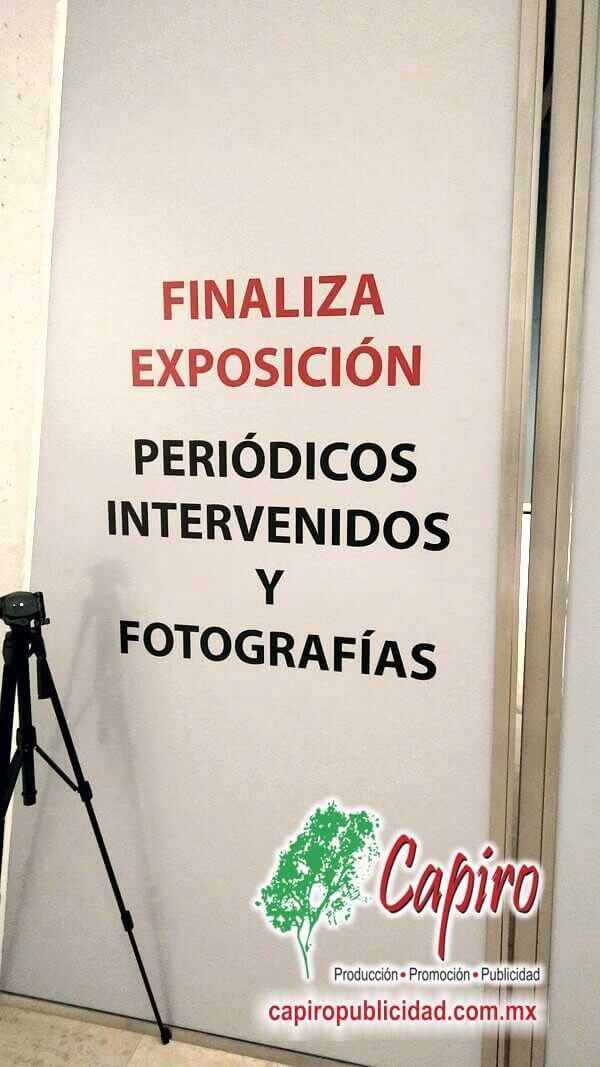 Recorte de vinil para materiales museográficos