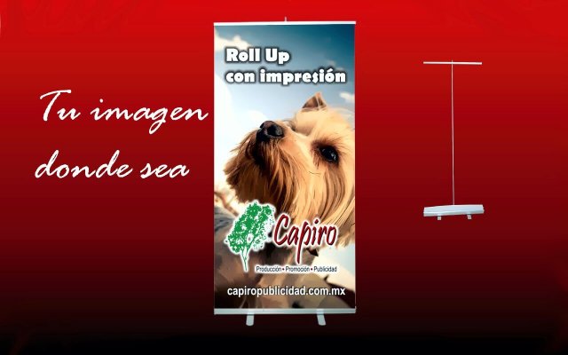 Estructura para Roll Up con impresión